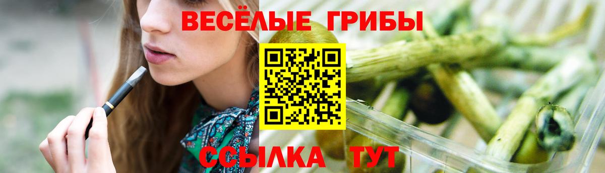 что такое   Вход с VPN  Мурино  Галлюциногенные грибы мухоморы  Галлюциногенные грибы мухоморы 